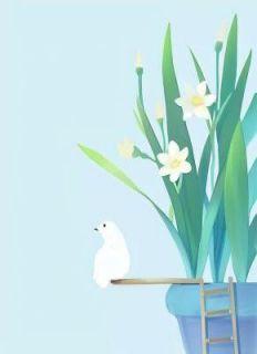 镇国神帅最新章节