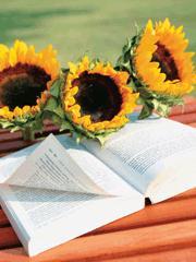 末日狼师漫画免费阅读下拉式六漫画