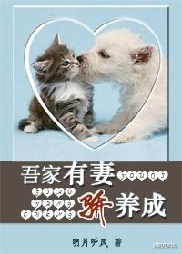 套路爱情的意思