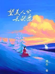 追夫进行时免费阅读