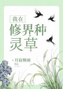 万古剑宗无弹窗纯文字全文免费阅读