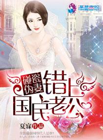 秘密保镖 第3章