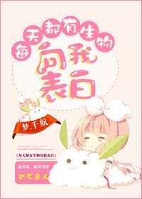 超级程序员动漫