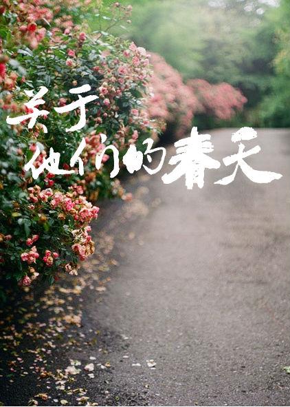 关于他们的春天