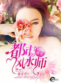 功夫圣医第二部