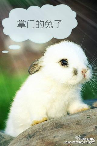 前夫找上门老婆不准逃