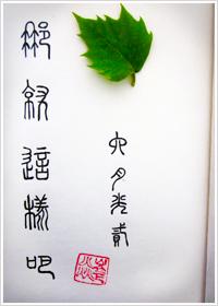 布衣枭雄免费阅读