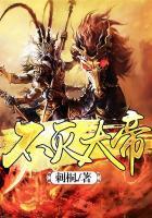 鸾凤替皇的神秘隐妃免费阅读全文