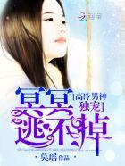 乡村大视野百家号