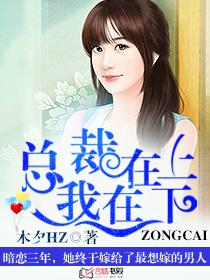 我穿越成了一个丫鬟