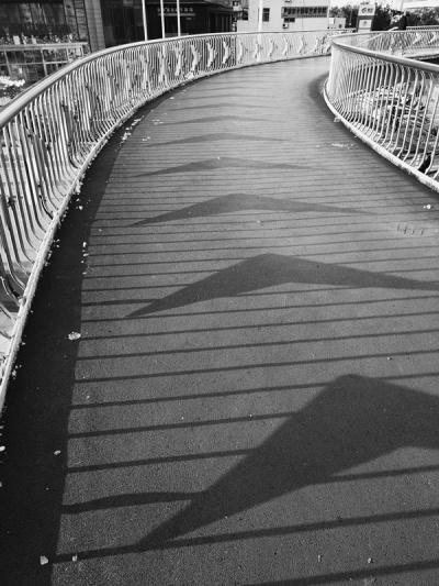 追妻电影完整版