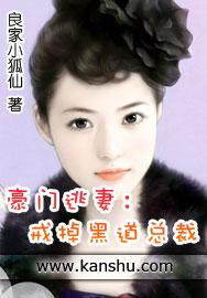 单翼天使新加坡电视剧