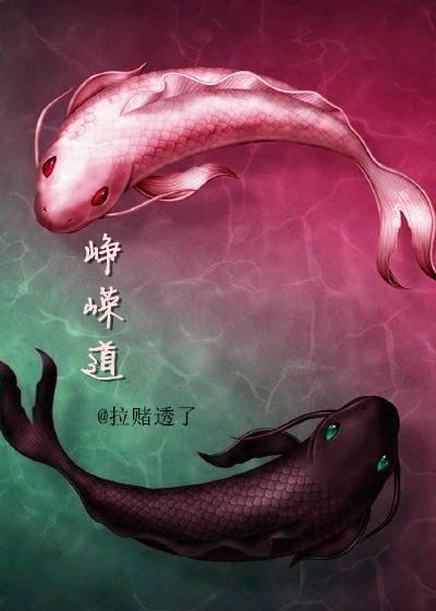 鲛人饵讲的什么