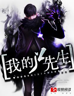 开封有猫小凤有刀免费阅读