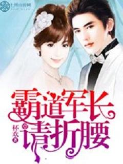 总裁大人请住手完结