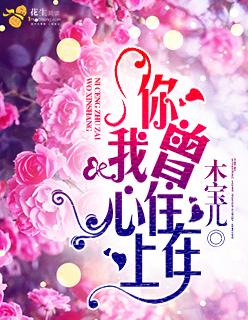 一品姐夫在线阅读