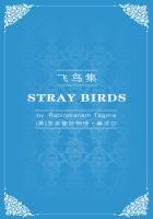 网游之一箭绝尘 聚合中文网