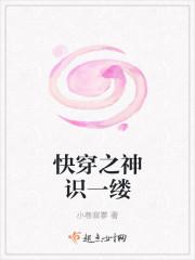 沈星洲叶流萤全文免费阅读