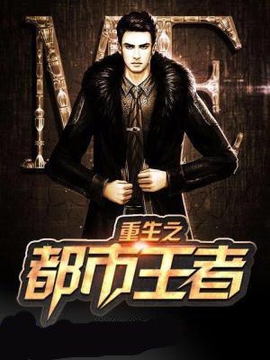 都市之无上至尊全文阅读