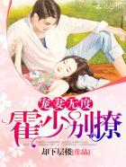 网游之踏破苍穹