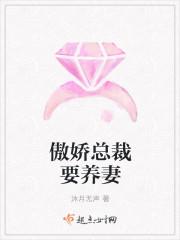 光明教皇海廷斯