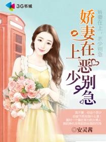 红楼慧丫鬟药小豆晋江