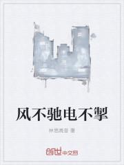 不灭武尊免费阅读