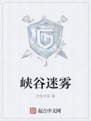 我开直播黑老板的那些日子